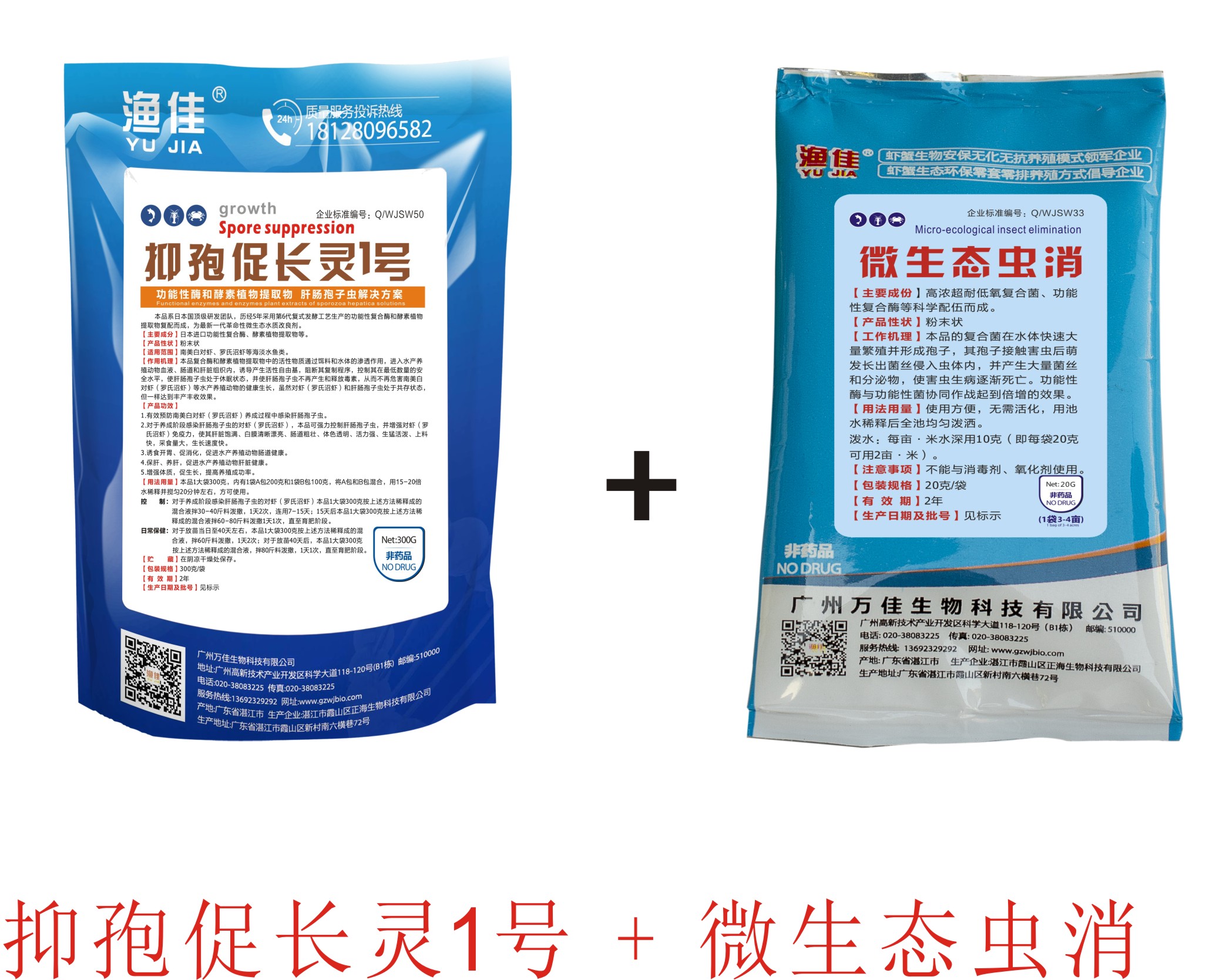 對蝦肝腸孢子蟲 不用愁！